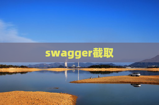 swagger截取